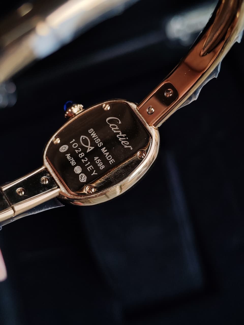 WhatsApp Image 2026-02-04 at 6.13.50 AM